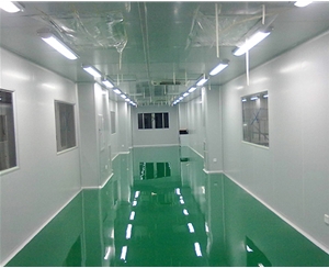 無(wú)塵車(chē)間凈化工程生產(chǎn)